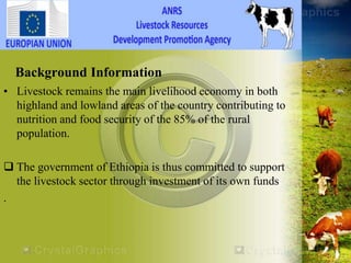 HEARD―Health of Ethiopian Animals for Rural Development in Amhara National Regional State