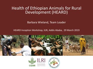 Health of Ethiopian Animals for Rural
Development (HEARD)
Barbara Wieland, Team Leader
HEARD Inception Workshop, ILRI, Addis Ababa, 29 March 2019
 
