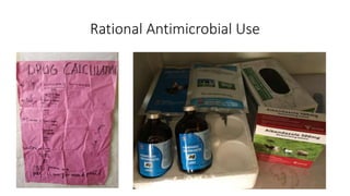 The use of a mobile app to support diagnosis across multiple animal species and improve disease surveillance in remote settings