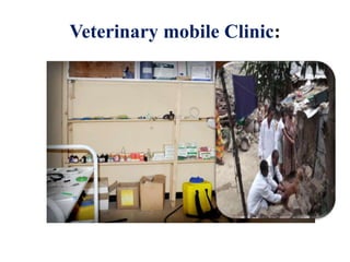 Experiences sharing on Public-Private Partnerships, Ethiopia 