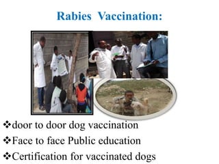 Experiences sharing on Public-Private Partnerships, Ethiopia 