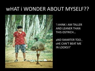 wHAT i WONDER ABOUT MYSELF??
i tHINK i AM TALLER
AND LEANER THAN
THIS OSTRICH
aND SMARTER TOO..
sHE CANT BEAT ME
IN LOOKS!!

 