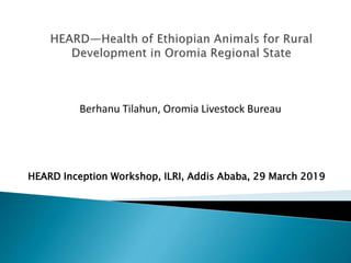 HEARD Inception Workshop, ILRI, Addis Ababa, 29 March 2019
Berhanu Tilahun, Oromia Livestock Bureau
 