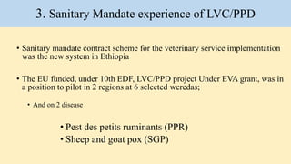 Lesson learned―Sanitary mandate contracting scheme (SMCS): LVC/PPD experience under EVA grant