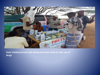 Public Private Partnerships in Animal Health Delivery: Experiences from Kenya