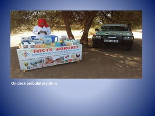 Public Private Partnerships in Animal Health Delivery: Experiences from Kenya