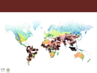 Gaps in veterinary service delivery