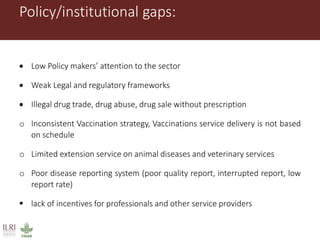 Gaps in veterinary service delivery