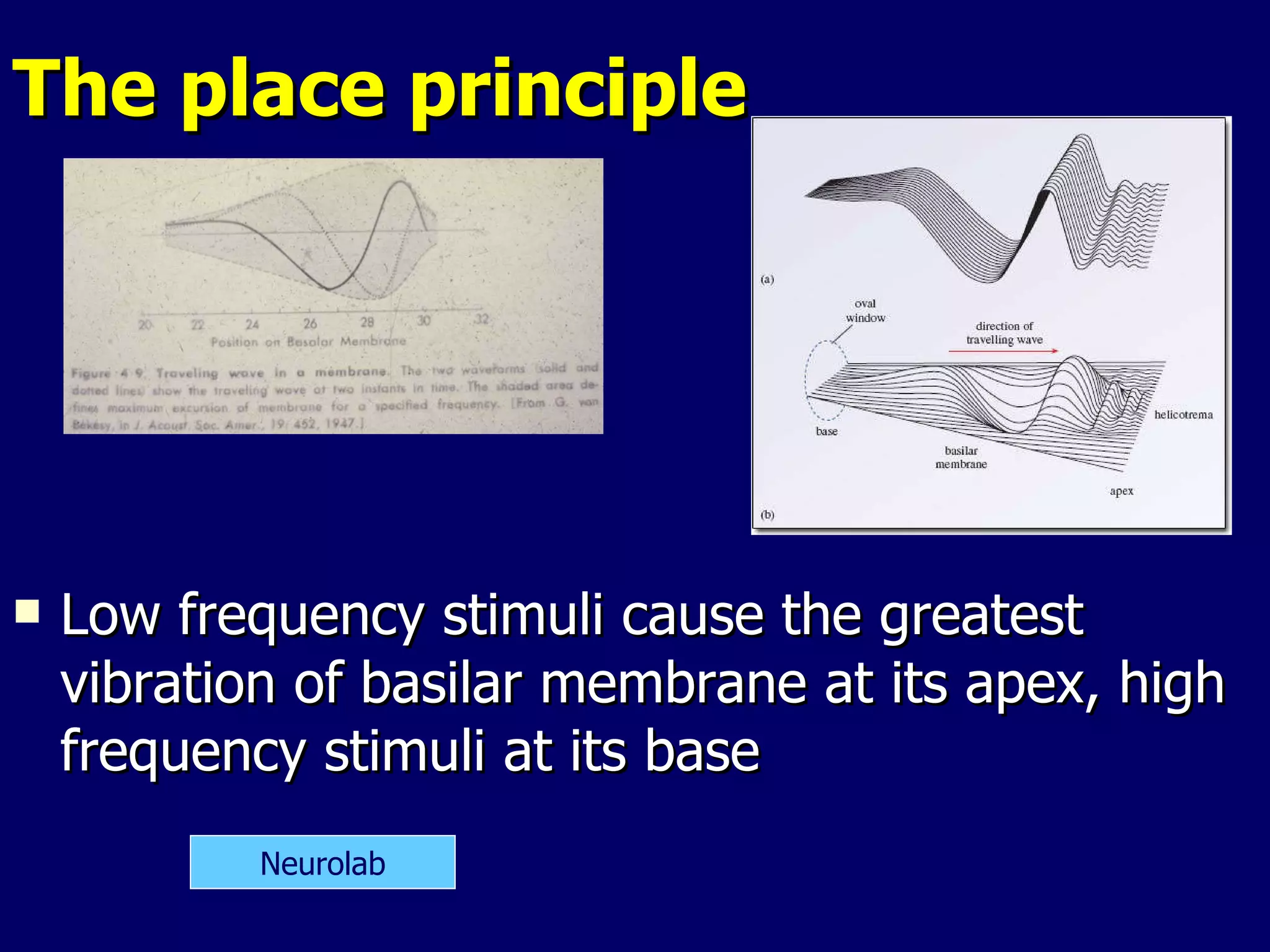 Hear Principles Hearing | PPT