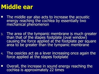 Middle ear  The middle ear also acts to increase the acoustic energy reaching the cochlea by essentially two mechanical phenomenon The area of the tympanic membrane is much greater than that of the stapes footplate (oval window) causing the force applied at the footplate per square area to be greater than the tympanic membrane  The ossicles act as a lever increasing once again the force applied at the stapes footplate Overall, the increase in sound energy reaching the cochlea is approximately 22 times 