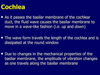 Cochlea As it passes the basilar membrane of the cochlear duct, the fluid wave causes the basilar membrane to move in a wave-like fashion (i.e. up and down) The wave form travels the length of the cochlea and is dissipated at the round window Due to changes in the mechanical properties of the basilar membrane, the amplitude of vibration changes as one travels along the basilar membrane 