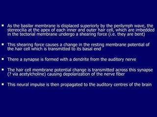 As the basilar membrane is displaced superiorly by the perilymph wave, the stereocilia at the apex of each inner and outer hair cell, which are imbedded in the tectorial membrane undergo a shearing force (i.e. they are bent) This shearing force causes a change in the resting membrane potential of the hair cell which is transmitted to its basal end There a synapse is formed with a dendrite from the auditory nerve The hair cell membrane potential change is transmitted across this synapse (? via acetylcholine) causing depolarization of the nerve fiber This neural impulse is then propagated to the auditory centres of the brain 