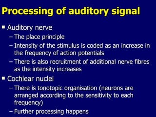 Processing of auditory signal Auditory nerve The place principle Intensity of the stimulus is coded as an increase in the frequency of action potentials There is also recruitment of additional nerve fibres as the intensity increases Cochlear nuclei There is tonotopic organisation (neurons are arranged according to the sensitivity to each frequency) Further processing happens 