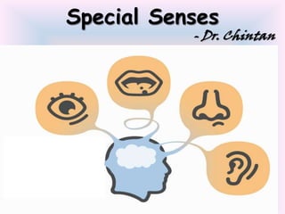 Special Senses

- Dr. Chintan

 