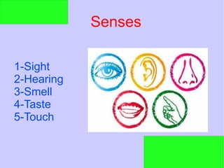 Senses
1-Sight
2-Hearing
3-Smell
4-Taste
5-Touch
 