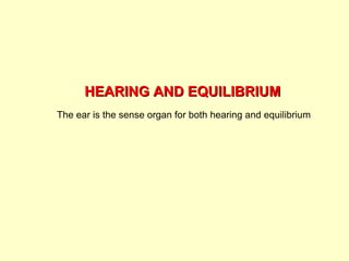 HEARING AND EQUILIBRIUMHEARING AND EQUILIBRIUM
The ear is the sense organ for both hearing and equilibrium
 