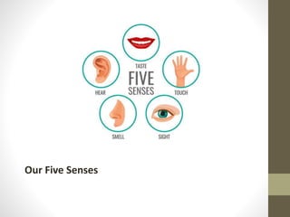 Our Five Senses
 