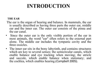 INTRODUCTION
THE EAR
The ear is the organ of hearing and balance. In mammals, the ear
is usually described as having three parts the outer ear, middle
ear and the inner ear. The outer ear consists of the pinna and
the ear canal.
• Since the outer ear is the only visible portion of the ear in
most animals, the word "ear" often refers to the external part
alone. The middle ear includes the tympanic cavity and the
three ossicles.
• The inner ear sits in the bony labyrinth, and contains structures
which are key to several senses: the semicircular canals, which
enable balance and eye tracking when moving; the utricle
and saccule, which enable balance when stationary; and
the cochlea, which enables hearing.(Campbell 2005).
 