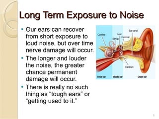 Long Term Exposure to Noise Our ears can recover from short exposure to loud noise, but over time nerve damage will occur. The longer and louder the noise, the greater chance permanent damage will occur. There is really no such thing as “tough ears” or “getting used to it.” 