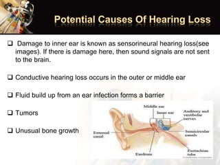  Damage to inner ear is known as sensorineural hearing loss(see
images). If there is damage here, then sound signals are not sent
to the brain.
 Conductive hearing loss occurs in the outer or middle ear
 Fluid build up from an ear infection forms a barrier
 Tumors
 Unusual bone growth
 