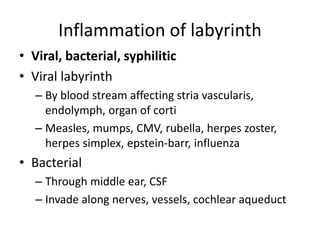 Inflammation of labyrinth
• Viral, bacterial, syphilitic
• Viral labyrinth
– By blood stream affecting stria vascularis,
endolymph, organ of corti
– Measles, mumps, CMV, rubella, herpes zoster,
herpes simplex, epstein-barr, influenza
• Bacterial
– Through middle ear, CSF
– Invade along nerves, vessels, cochlear aqueduct
 