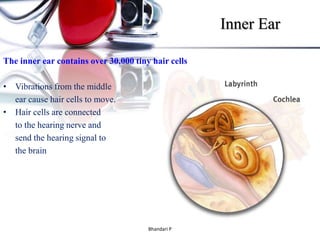 Hearing loss | PPTX