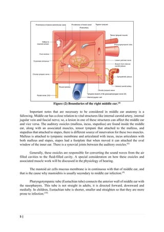 5 |
Figure (2) Boundaries of the right middle ear.(4)
Important notes that are necessary to be considered in middle ear anatomy is a
fallowing. Middle ear has a close relation to vital structures like internal carotid artery, internal
jugular vein and fascial nerve, so, a lesion in one of these structures can affect the middle ear
and vice versa. The auditory ossicles (malleus, incus, stapedius) are found inside the middle
ear, along with an associated muscles, tensor tympani that attached to the malleus, and
stapedius that attached to stapes, there is different source of innervation for these two muscles.
Malleus is attached to tympanic membrane and articulated with incus, incus articulates with
both malleus and stapes, stapes had a footplate that when moved it can attached the oval
window of the inner ear. There is a synovial joints between the auditory ossicles.(6)
Generally, these ossicles are responsible for converting the sound waves from the air
filled cavities to the fluid-filled cavity. A special consideration on how these ossicles and
associated muscle work will be discussed in the physiology of hearing.
The mastoid air cells mucous membrane is in continuous with that of middle ear, and
that is the cause why mastoiditis is usually secondary to middle ear infection.(4)
Pharyngotympanic tube (Eustachian tube) connects the anterior wall of middle ear with
the nasopharynx. This tube is not straight in adults, it is directed forward, downward and
medially. In children, Eustachian tube is shorter, smaller and straighten so that they are more
prone to infection.(10)
 