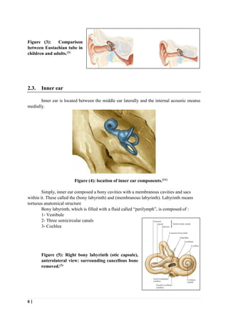 6 |
Figure (3): Comparison
between Eustachian tube in
children and adults.(3)
2.3. Inner ear
Inner ear is located between the middle ear laterally and the internal acoustic meatus
medially.
Figure (4): location of inner ear components.(11)
Simply, inner ear composed a bony cavities with a membranous cavities and sacs
within it. These called the (bony labyrinth) and (membranous labyrinth). Labyrinth means
tortuous anatomical structure
Bony labyrinth, which is filled with a fluid called “perilymph”, is composed of :
1- Vestibule
2- Three semicircular canals
3- Cochlea
Figure (5): Right bony labyrinth (otic capsule),
anterolateral view: surrounding cancellous bone
removed.(3)
 