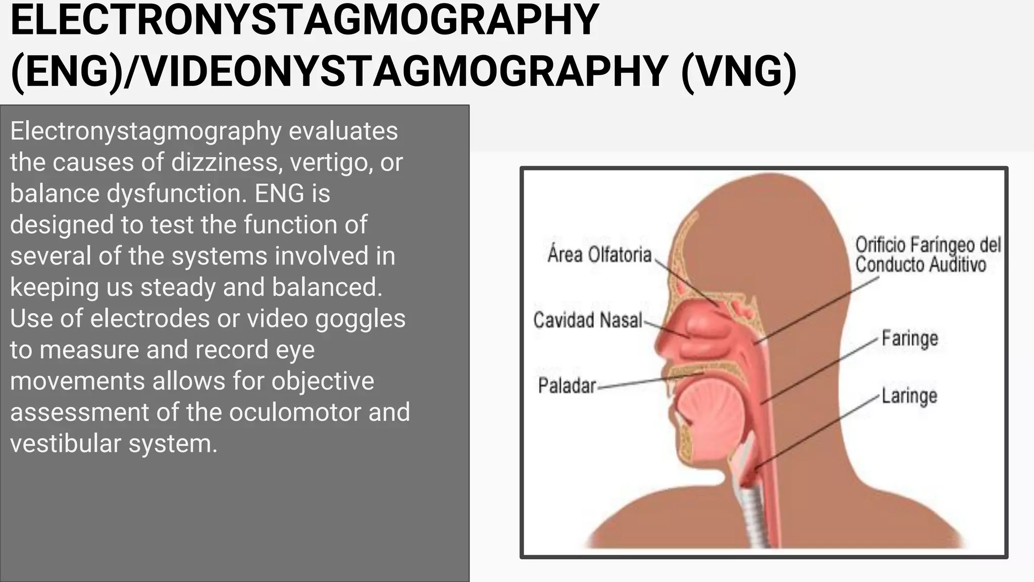Hearing test | PDF