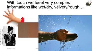 Maria Tecla Artemesia Montessori
(August 31, 1870 – May 6, 1952)

With touch we feeel very complex
informations like wet/dry, velvety/rough…

Headings & touch

WEB DESIGN NABA 2014 Roberto DADDA

16

 