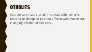 OTHOLITS
Calcium carbonate crystals in contact with hair cells,
reacting to change of position of head with movement,
changing position of hair cells.,
 
