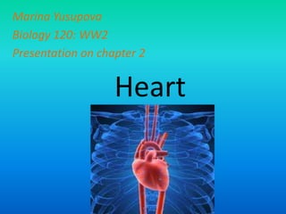 Marina Yusupova Biology 120: WW2 Presentation on chapter 2 Heart 
