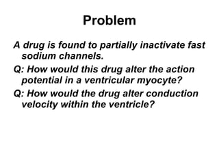 Problem A drug is found to partially inactivate fast sodium channels.  Q: How would this drug alter the action potential in a ventricular myocyte?  Q: How would the drug alter conduction velocity within the ventricle? 