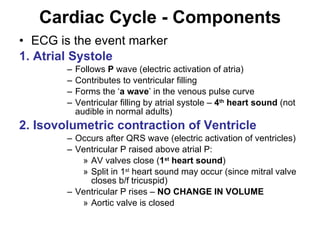 Cardiac Cycle - Components ECG is the event marker 1. Atrial Systole Follows  P  wave (electric activation of atria) Contributes to ventricular filling Forms the ‘ a wave ’ in the venous pulse curve Ventricular filling by atrial systole –  4 th  heart sound  (not audible in normal adults) 2. Isovolumetric contraction of Ventricle Occurs after QRS wave (electric activation of ventricles) Ventricular P raised above atrial P: AV valves close ( 1 st  heart sound ) Split in 1 st  heart sound may occur (since mitral valve closes b/f tricuspid) Ventricular P rises –  NO CHANGE IN VOLUME Aortic valve is closed 