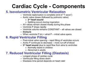 Cardiac Cycle - Components 5. Isovolumetric Ventricular Relaxation Ventricle replorization is complete (end of “T wave”) Aortic valve closes (followed by pulmonic valve) 2 nd  heart sound Splitting occurs during inspiration AV valves remain closed mostly during this phase Ventricle P drops rapidly Ventricle volume remains CONSTANT – all valves are closed Incisura   When ventricle P b/c < atrial P – mitral valve opens 6. Rapid Ventricular Filling Post-mitral valve opening – rapid filling of ventricles occurs Aortic P continues to decrease – more run-off of blood 3 rd  heart sound  (due to rapid flow from atria to ventricles  Normally heard in children Abnormal in adults 7. Reduced Ventricular Filling (Diastasis) Longest phase of cardiac cycle Ventricular filling slows down Diastasis time period depends on heart rate! 