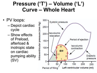 Pressure (‘T’) – Volume (‘L’) Curve – Whole Heart PV loops: Depict cardiac cycle Show effects of Preload, afterload & inotropic state on cardiac pumping ability (SV) 