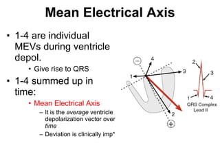 Mean Electrical Axis 1-4 are individual MEVs during ventricle depol. Give rise to QRS 1-4 summed up in time: Mean Electrical Axis It is the  average  ventricle depolarization vector over  time Deviation is clinically imp* 