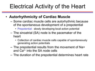 Heart | PPT
