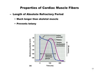 ,       -
        +

    %




            13
 