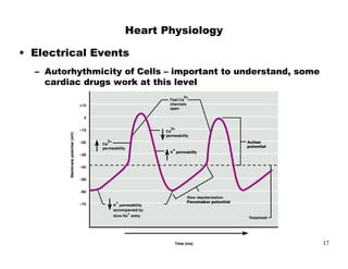 $   $%
                 #
         +   %




                     17
 