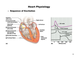 9   $&




         18
 