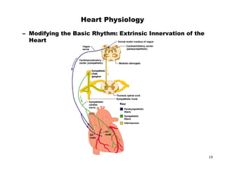 -   :$&   ;   %




                  19
 