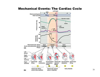 $%   :




         24
 