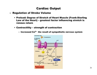 )
-                     + .
            :2                  '   +/
    ,             (
    %



        ;        31             %




                                         26
 