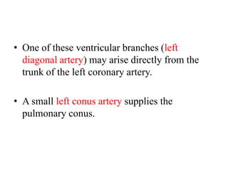 • One of these ventricular branches (left
diagonal artery) may arise directly from the
trunk of the left coronary artery.

• A small left conus artery supplies the
pulmonary conus.

 
