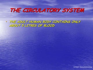THE CIRCULATORY SYSTEM
• THE ADULT HUMAN BODY CONTAINS ONLY
ABOUT 5 LITRES OF BLOOD
© PDST Home Economics
 