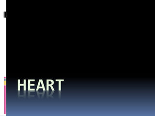 HEART 
 