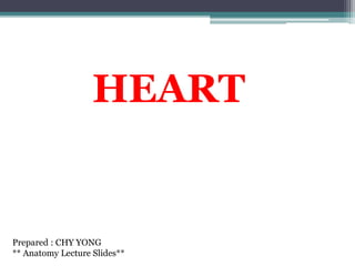 HEART
Prepared : CHY YONG
** Anatomy Lecture Slides**
 