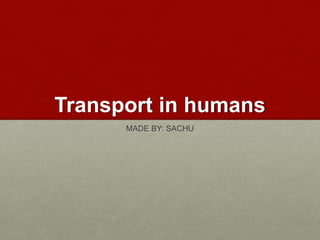 Transport in humans
MADE BY: SACHU
 