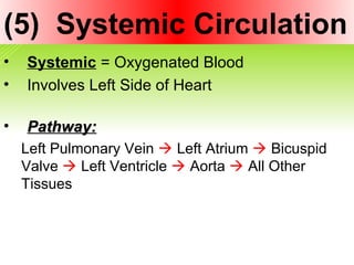 (5) Systemic Circulation
• Systemic = Oxygenated Blood
• Involves Left Side of Heart
• Pathway:Pathway:
Left Pulmonary Vein  Left Atrium  Bicuspid
Valve  Left Ventricle  Aorta  All Other
Tissues
 